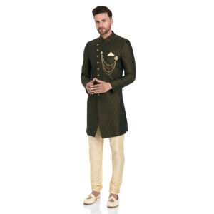 Italian Fabric Indo-Western