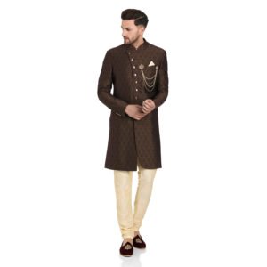 Italian Fabric Indo-Western